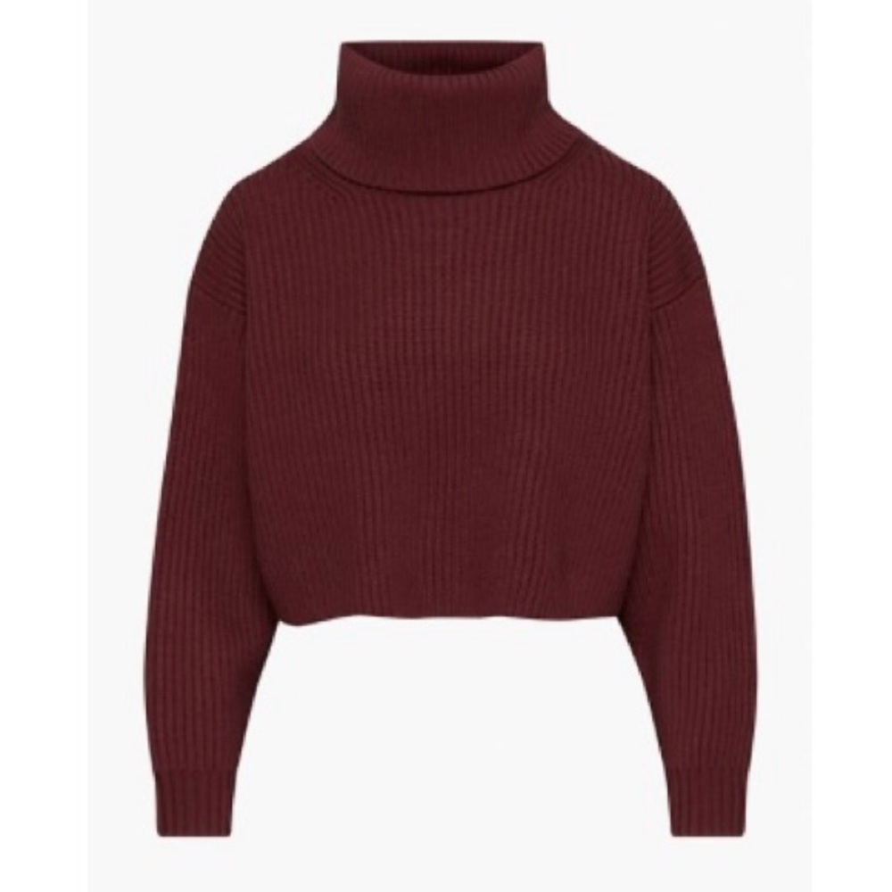 Aritzia Guell Sweater